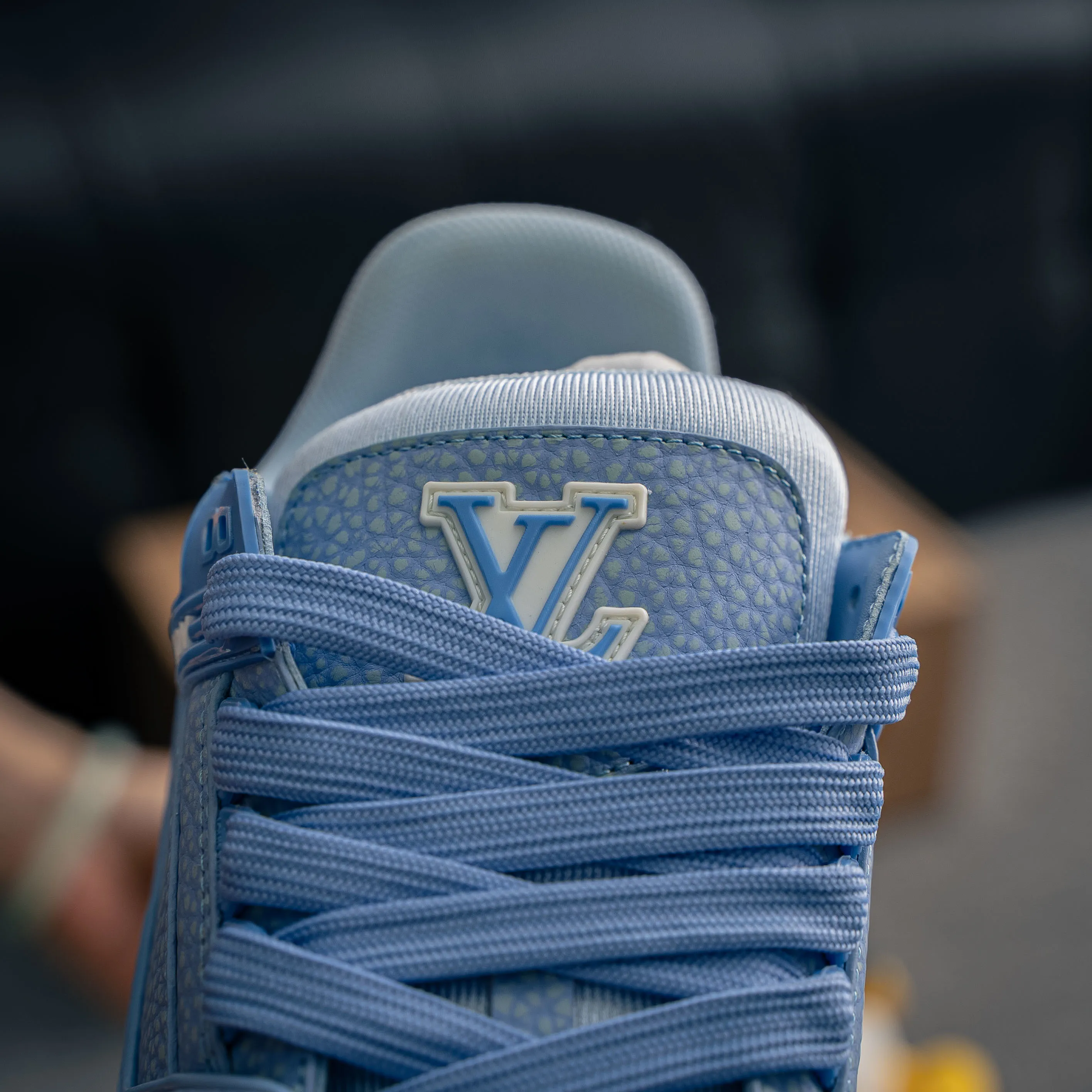 Louis Vuitton Trainer lv Sneakers Shoes Shoes